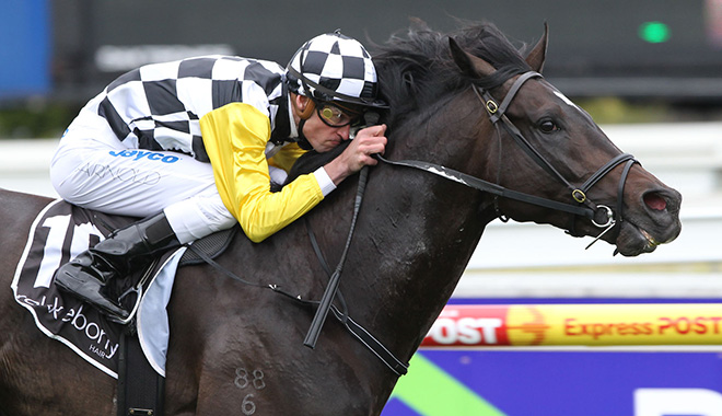 Duncan Ramage (@dgrtbs) on Twitter photo I have been enjoying a trip down memory lane in recent days, looking back at So You Think’s glittering career, from dominating in Australia to triumphing at Royal Ascot.
If you’ve got 3mins to spare, these highlights are something special 👇
🔗 dgrracing.com.au/so-you-think-a… I have been enjoying a trip down memory lane in recent days, looking back at So You Think’s glittering career, from dominating in Australia to triumphing at Royal Ascot.
If you’ve got 3mins to spare, these highlights are something special 👇
🔗 dgrracing.com.au/so-you-think-a…