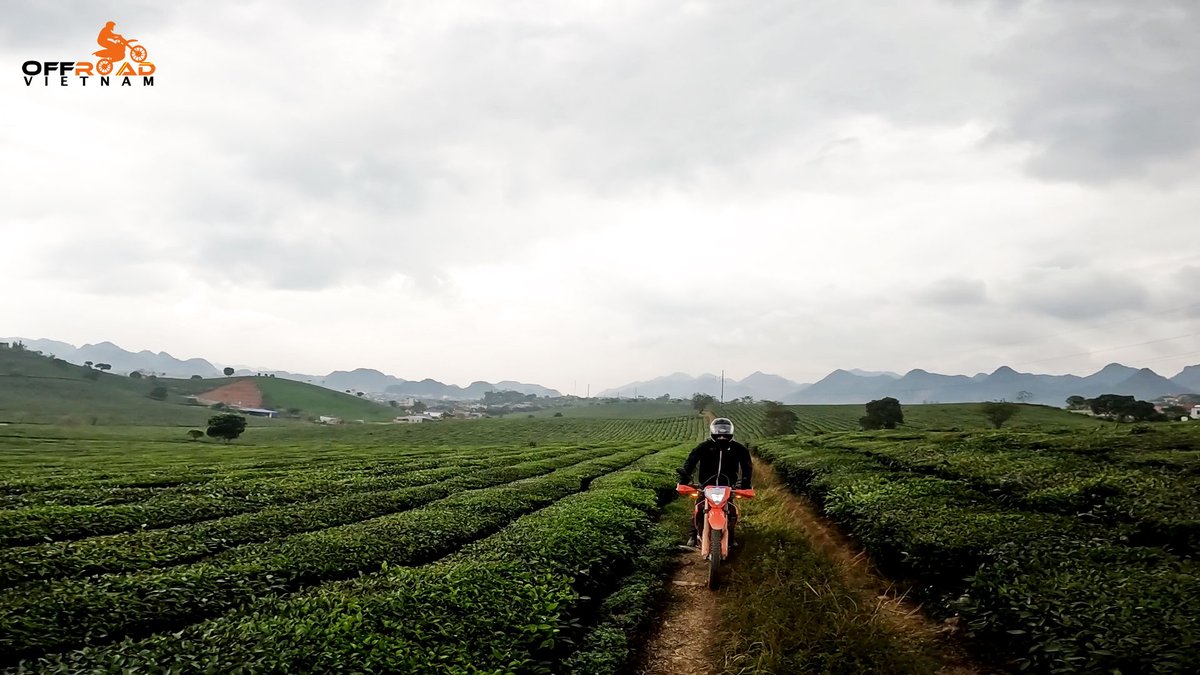 vietnambikers1's tweet image. There is something hauntingly beautiful about a road no longer travelled on two wheels. 😎

🖥️ vietnammotorcyclemotorbiketours.com

#hauntinglybeautiful #roadnolongertravelled #theabandonedroads #vietnam #xuhuong2025 #trending2025 #motorbike #motorcycle #tour #rental #honda #XR150L #CRF250L