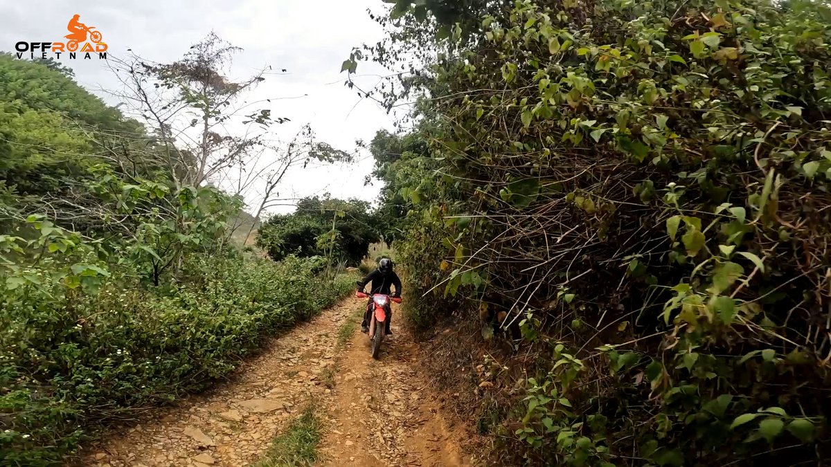 vietnambikers1's tweet image. There is something hauntingly beautiful about a road no longer travelled on two wheels. 😎

🖥️ vietnammotorcyclemotorbiketours.com

#hauntinglybeautiful #roadnolongertravelled #theabandonedroads #vietnam #xuhuong2025 #trending2025 #motorbike #motorcycle #tour #rental #honda #XR150L #CRF250L