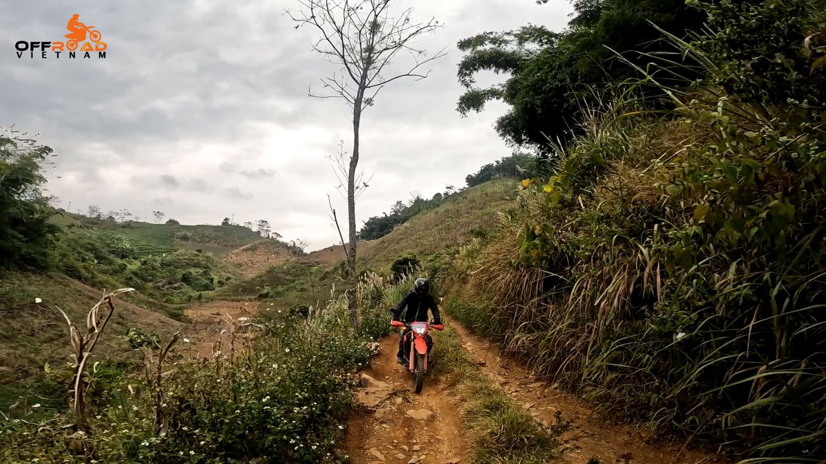 vietnambikers1's tweet image. There is something hauntingly beautiful about a road no longer travelled on two wheels. 😎

🖥️ vietnammotorcyclemotorbiketours.com

#hauntinglybeautiful #roadnolongertravelled #theabandonedroads #vietnam #xuhuong2025 #trending2025 #motorbike #motorcycle #tour #rental #honda #XR150L #CRF250L