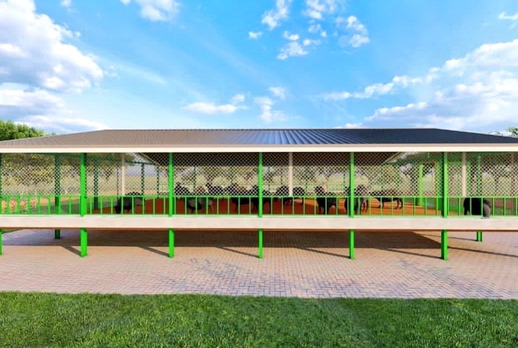 Lee_Fabricee's tweet photo. GOAT FARMING DESIGN ON A BUDGET: 
HOW TO MAKE THE MOST OF A 15m × 10m SPACE!

Thinking about starting a profitable goat farm but worried about space? A 15m × 10m (150m²) area can be more than enough, If used wisely!

Here’s how you can maximize productivity in a limited space. https://t.co/5ZblOoGGWt