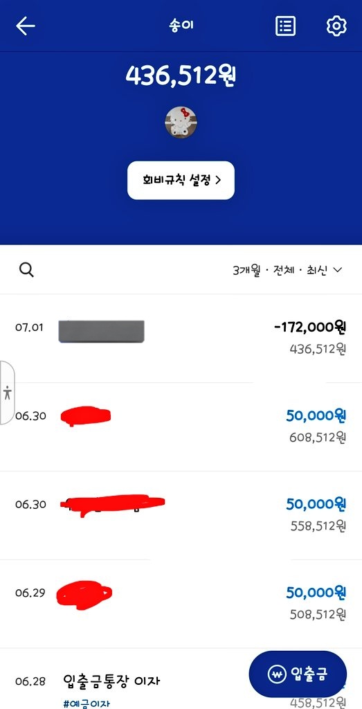 둘째고양이 치료로
 172000원 사용하였습니다 감사합니다