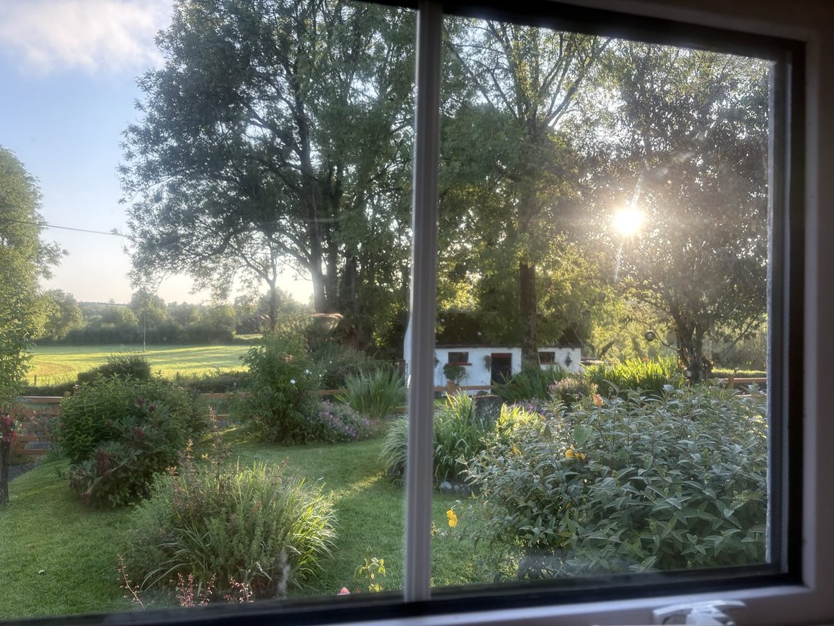 mtully21's tweet image. #ViewFromTheWindow
Welcome July, may it bring calm and restore ease and peace to this crazy world… thinking of my grandchildren and the words from #Aslan come to mind. “….How can I protect you in this crazy world…”