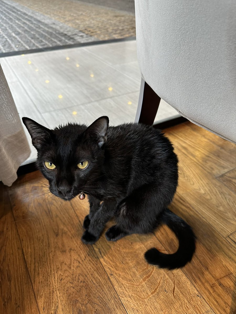 Sometimes he’s Mr. Lucky and sometimes staff gives him a bath.