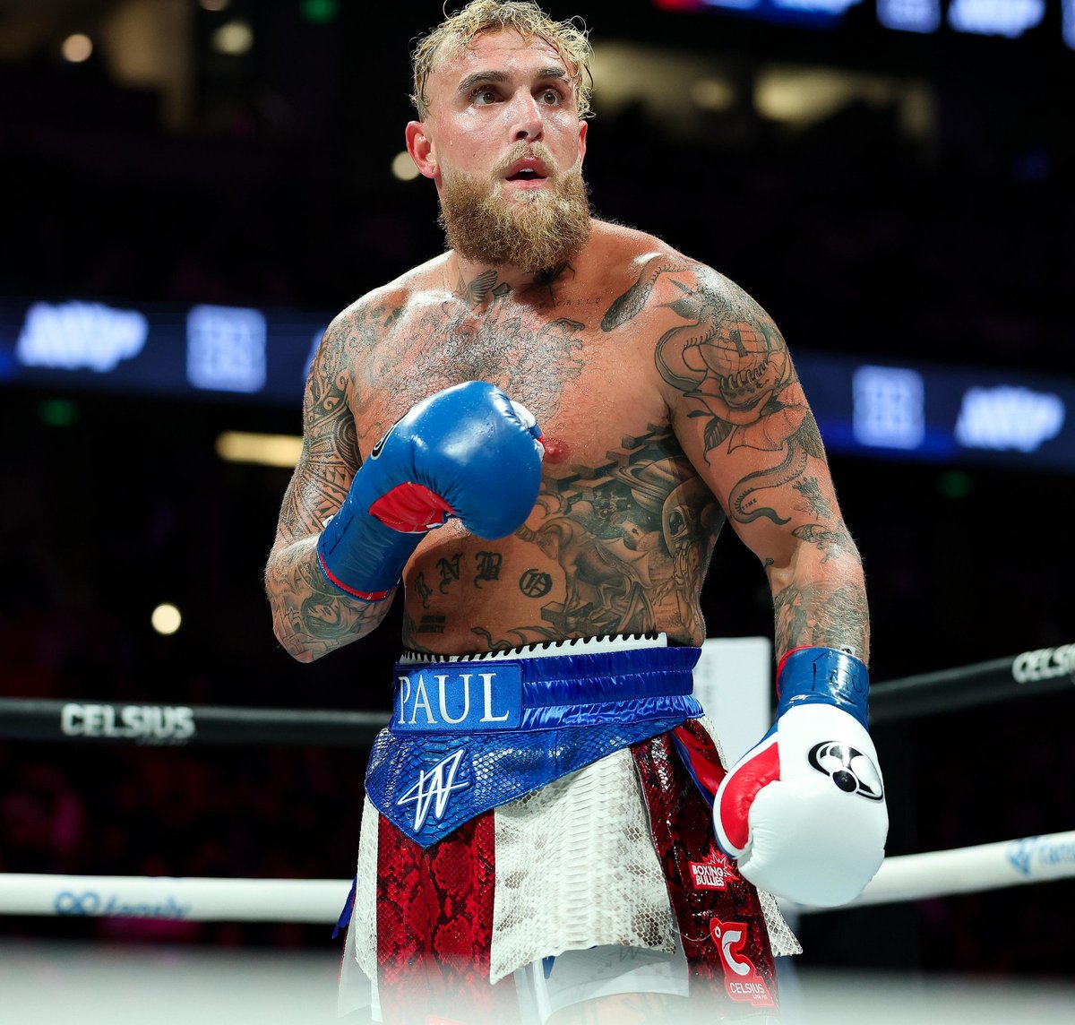 EverythingBoxing | Darshan Desai tweet media