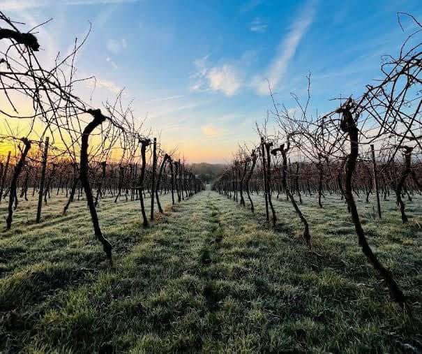 A new month, a fresh start and the perfect moment to embrace new opportunities. Hello July - the heart of winter! A cloudy and cold day ahead with rain on its way for the rest of the week from tomorrow. 

Have a great Tuesday and a blessed new month. ❄️☁️🏔️