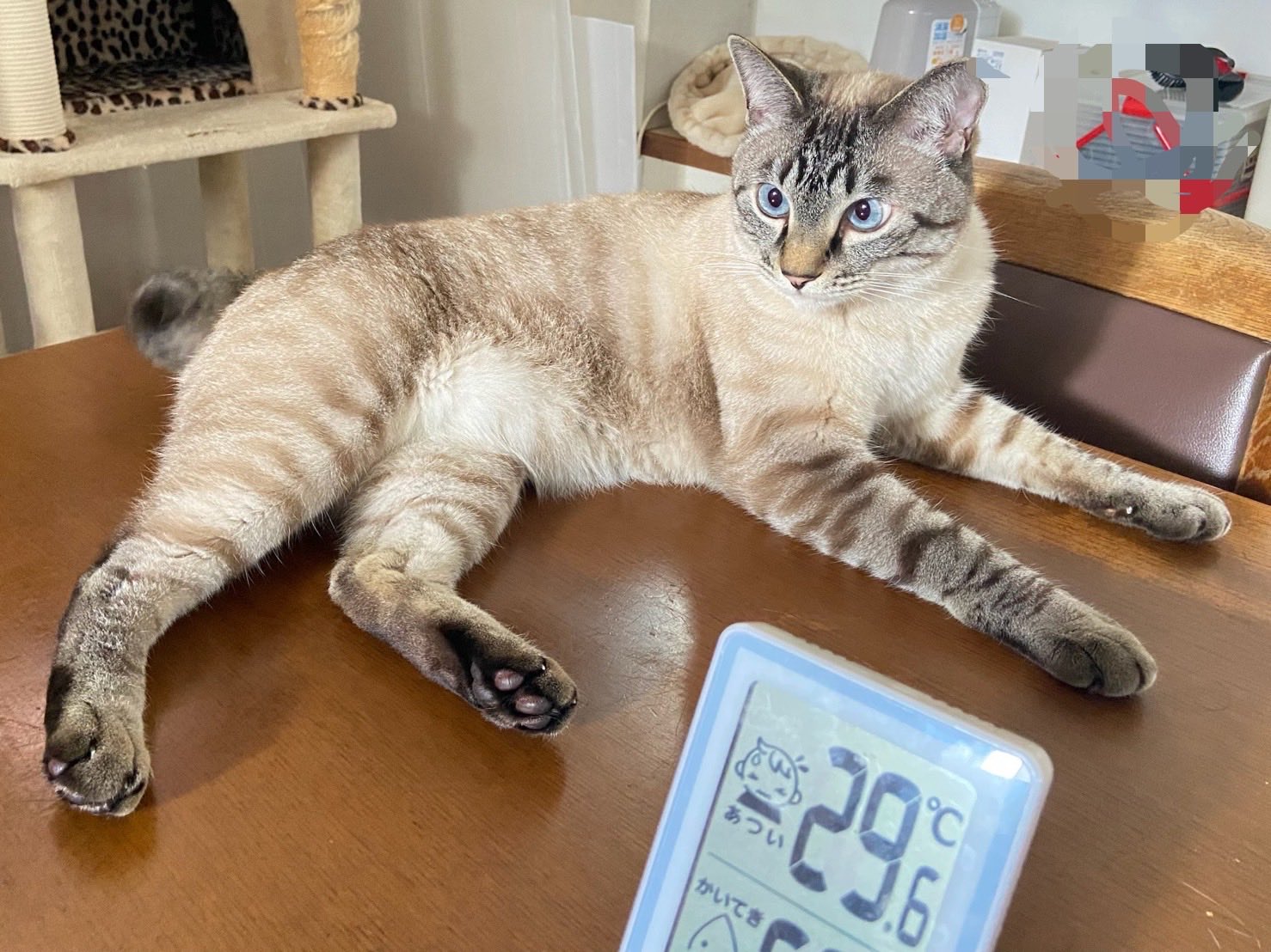 そら様☺︎ そら🐾 (@_sora0613_) / X