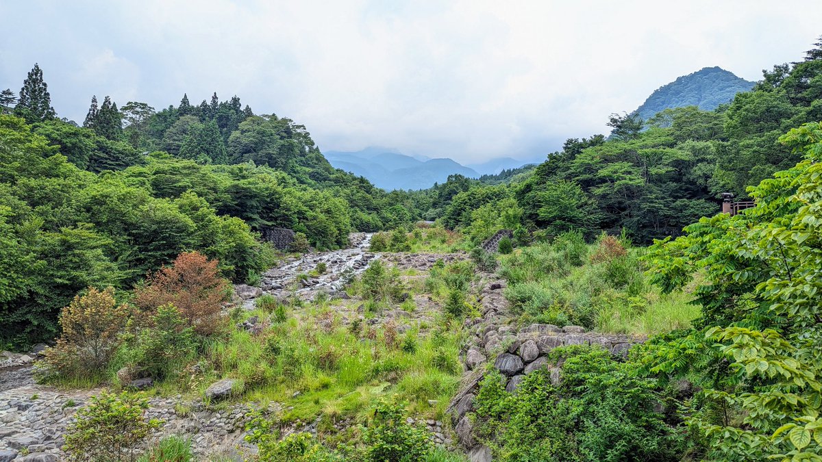 とても久しぶりに自然の中に入りました🫣大都会が大好きですが、時々森も必要と成りますね。。。