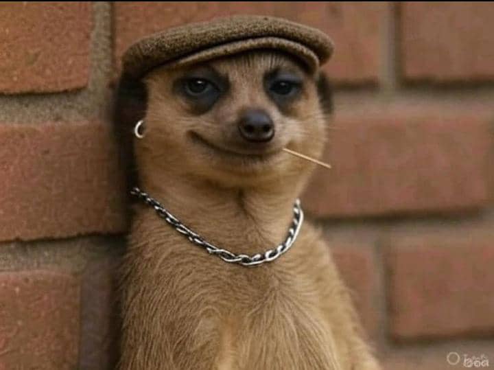 Onyiru Patience tweet media