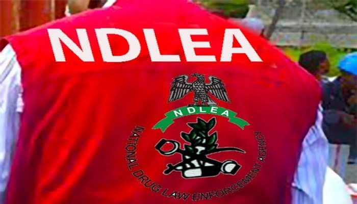 TheArewaBuzz's tweet photo. JUST IN: Tension in Kwara State

Youths in Lafiagi (Edu LGA) set fire to NDLEA office in protest against growing insecurity in the area. They say they’ve had enough.

Should this be the way to express anger?

#KwaraNews #ArewaBuzz #NigeriaProtests #NDLEA #Lafiagi #ArewaYouth https://t.co/sj43sG7oCn