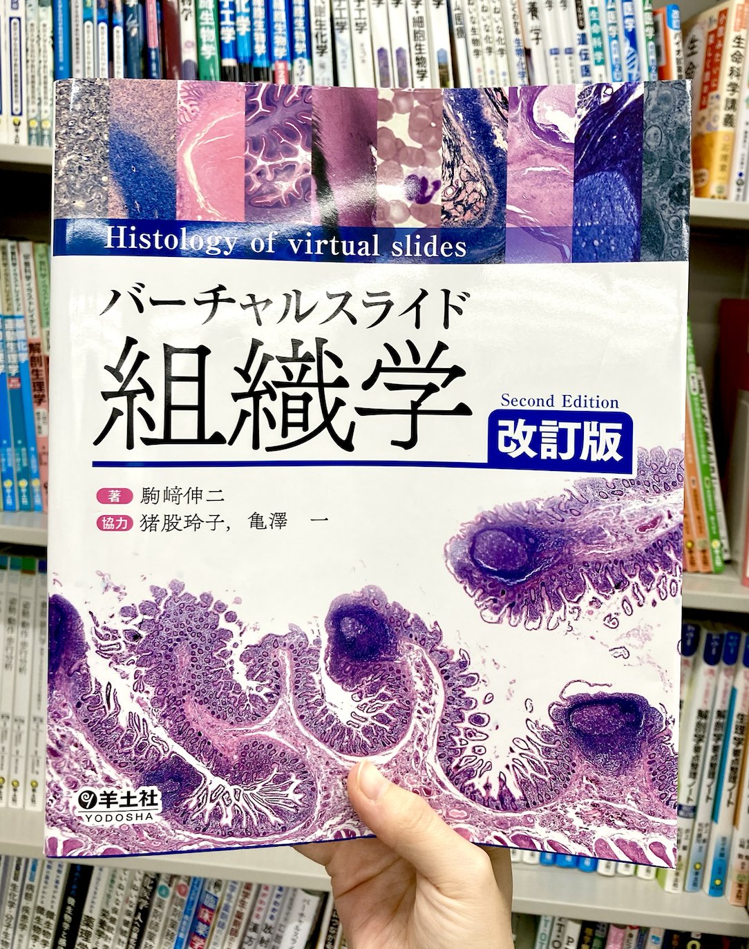 裁断済み　羊土社　バーチャルスライド 組織学 バーチャルスライド 口腔組織学 - 羊土社