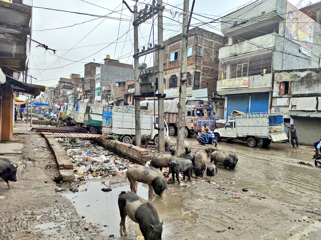 ChapraZila's tweet photo. ये है आपका प्यारा शहर छपरा और इसको खूबसूरत बनाने में इन लोगों का अतुलनीय योगदान हैं।

सांसद: राजीव प्रताप रूडी, भाजपा 
विधायक: डॉ सीएन गुप्ता, भाजपा 
मेयर: लक्ष्मी नारायण गुप्ता, भाजपा 
उप मेयर: रागिनी देवी, भाजपा https://t.co/r7BSPVsBD2