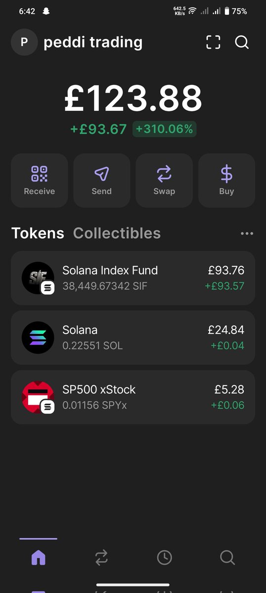 cryptopeddi's tweet photo. @solanaindexfund Got mine https://t.co/kx211uO1c9