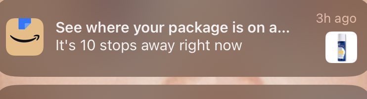 🗽🦍 tweet media