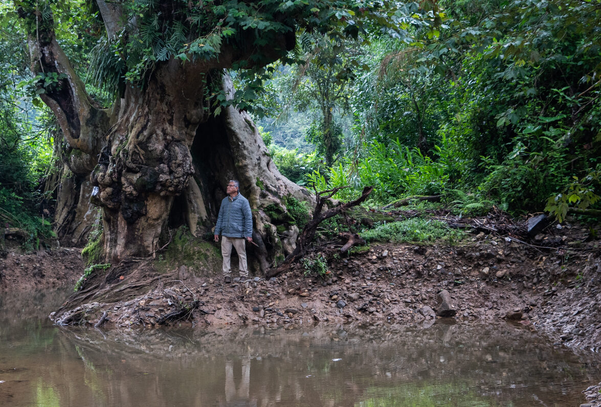 Mazateca: Asesinato de un río y persecución de indígenas como trampolín político

👉 avispa.org/?p=120200 🐝

#Oaxaca #OaxacaDeJuárez #OaxacaLoTieneTodo #Mexico #Latinoamérica #AmericaLatina #ClaudiaSheinbaum #FelizLunes #SalomonJara #DDHH #EZLN #Zapatistas #RESISTENCIA