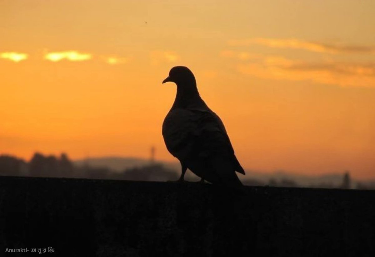 NGSIFAT's tweet image. তুমি নি'ষ্ঠুর , তুমি বহুরূপী, তুমি হিং'সাত্মক, 
তুমি ধ্বং'সাত্মক!❤️‍🩹