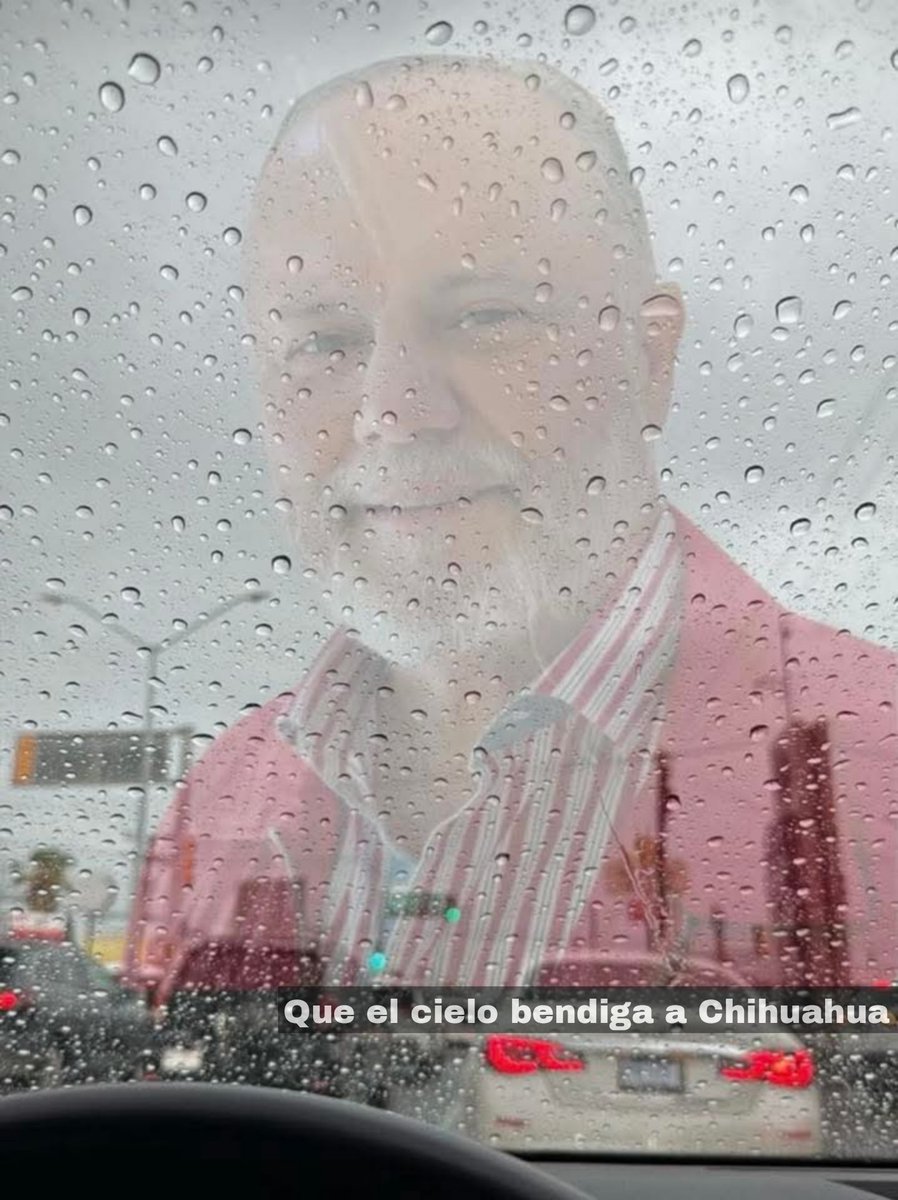 Out Of Context Chihuahua tweet media