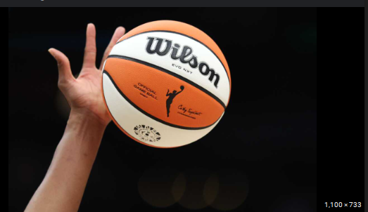 TLee712's tweet photo. WNBA’s Mixed Messages .... You can’t protect players and promote punishment at the same time. ..... https://t.co/NZnBAcbPAQ https://t.co/EinrOf6NdY