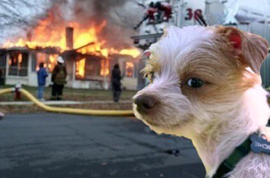 dkn33c's tweet image. 😏