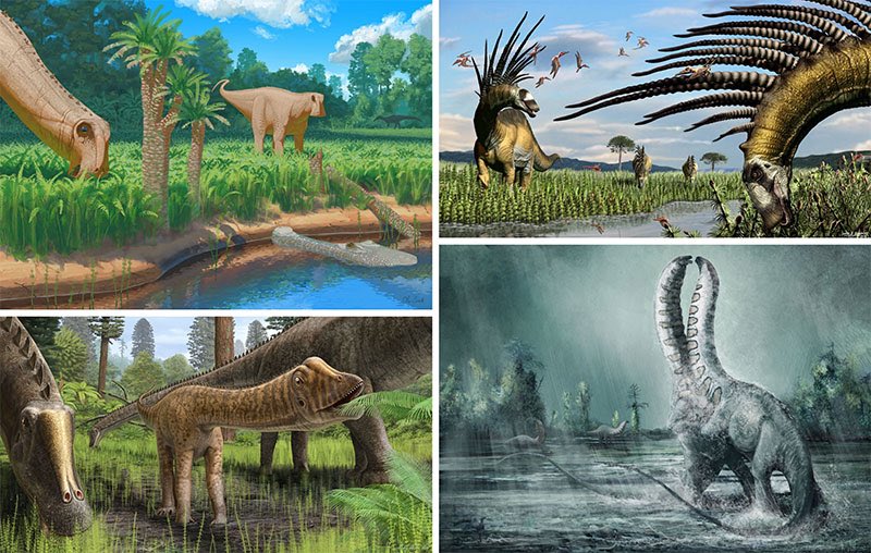 Fossilcrates's tweet photo. Survey of Diplodocoidea paper https://t.co/IWQsdrG02O
van der Linden et al.
I am 4th author :-)
So much fun!
Amazing diplodocoid sauropod dinosaur paleo art:
#Nigersaurus-Ole Zant
#Bajadasaurus-Jorge González
#Diplodocus-Andrey Atuchin
#Apatosaurus-Mark P. Witton
#FossilCrates https://t.co/Aa2JLUfNvj