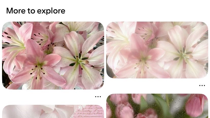 sintangbituin's tweet image. 📁 . . . restarting #studytwt 

about me! 
    🪷 nao 17 she/her 🇵🇭
    ☁️ shs - grade twelve
    👤 woman in humanities
    🍥 reviewing for cets

♡ or ↻ to be mutuals 🪻