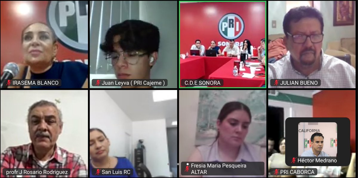HectorMedranooo's tweet photo. Terminando la capacitación sobre Comunicación Social, Imagen Institucional y Redes Sociales por parte del Movimiento PRI Mx.

#PRISonora #PRIMx #IRH https://t.co/inIiVlezi6