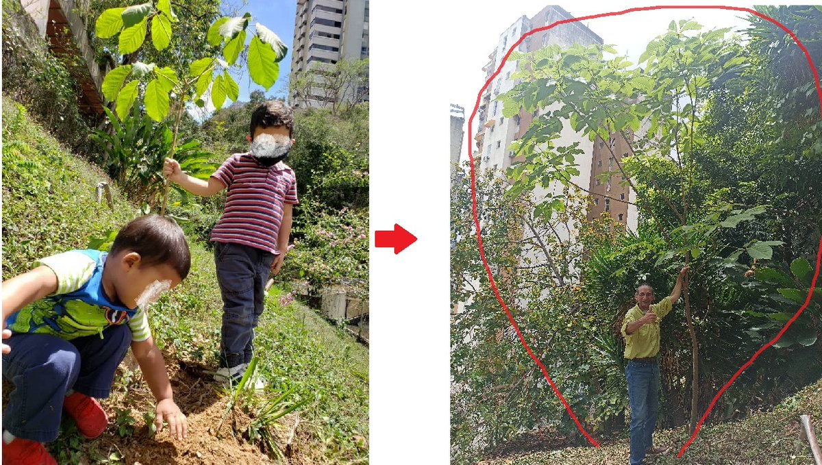 Teófilo Moros-Ghersi ™ (@teofilomoros) on Twitter photo <a href="/hilarialui/">Hilaria Sciamanna Denti</a> En 2022 mis nietos y yo sembramos un araguaney a quien llamamos ANMATO (acrónimo de nstros nombres).
Mis nietos, hoy parte de la diáspora q nos aflige, me dejaron responsable de su cuido. Lo vigilan.
En misma proporción de crecimiento, igual nstra unión, amor y fortaleza!... <a href="/hilarialui/">Hilaria Sciamanna Denti</a> En 2022 mis nietos y yo sembramos un araguaney a quien llamamos ANMATO (acrónimo de nstros nombres).
Mis nietos, hoy parte de la diáspora q nos aflige, me dejaron responsable de su cuido. Lo vigilan.
En misma proporción de crecimiento, igual nstra unión, amor y fortaleza!...