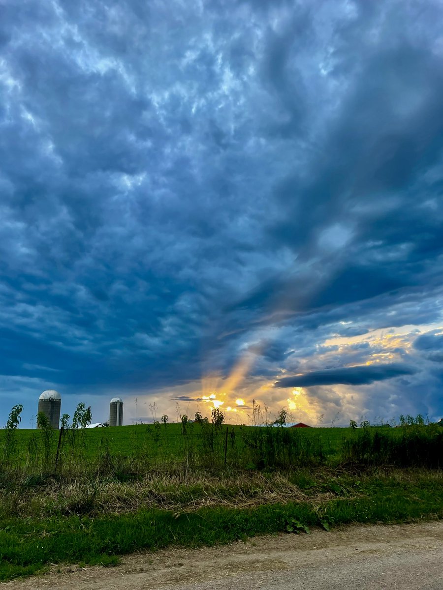 johndeeredr's tweet image. View from the barn door……
