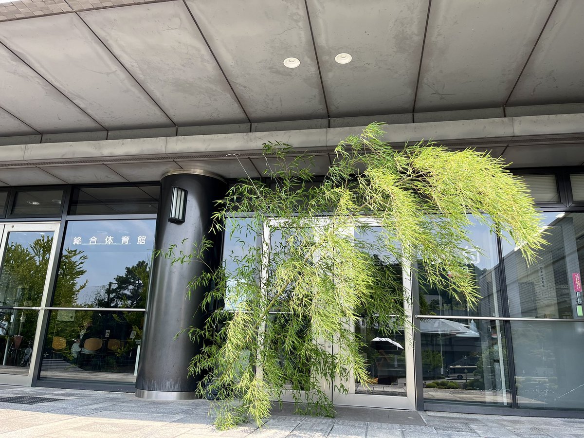 genshaksu's tweet image. 今年も総合体育館前に設置されています。
願いことを書きに来てください🎋