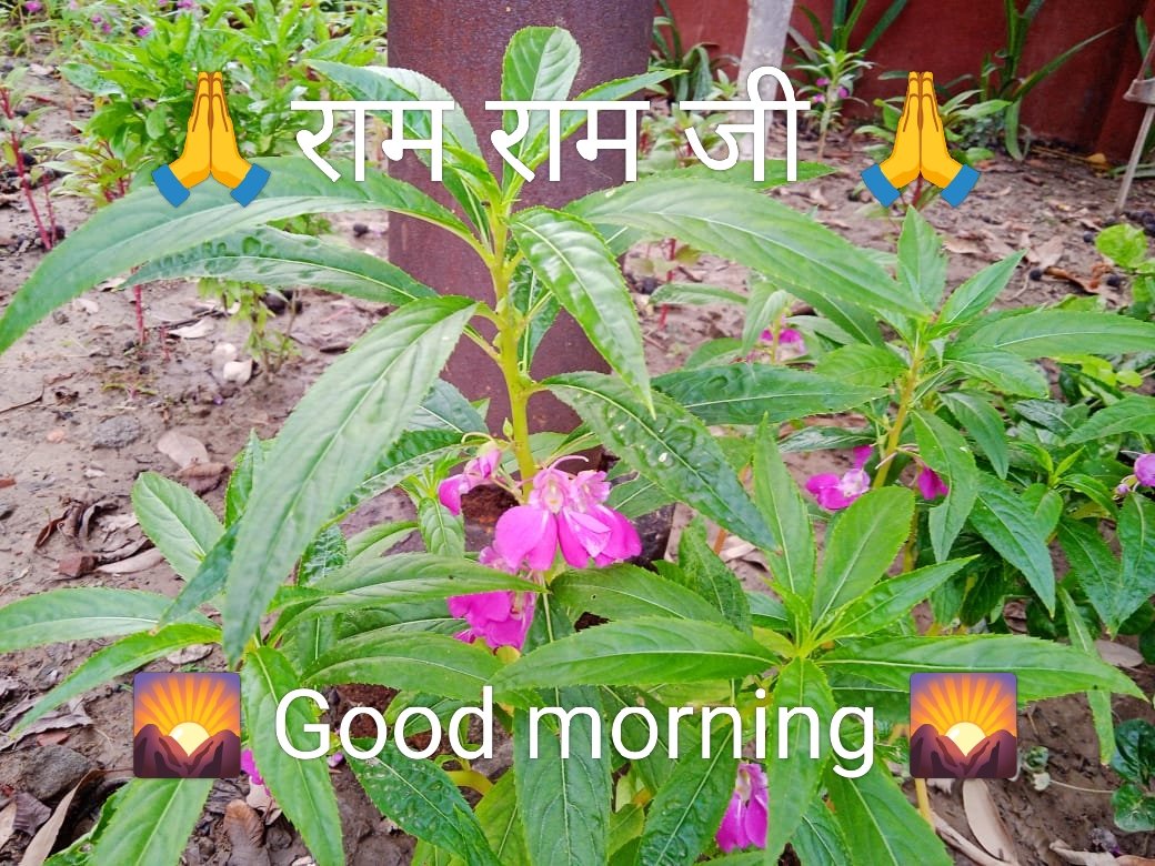 दूसरो को क्षमा करे, इस लिए नही कि वे क्षमा के योग्य हैं।
बल्कि इसलिए कि आप शांति से जीना चाहते हैं

सुप्रभात सभी साथियों को आपका दिन शुभ एवं मंगलमय रहे।👏👏🙏🙏