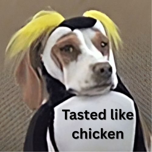 dogneedshelpsol's tweet photo. @cryptojack https://t.co/T8MEDLWpAF