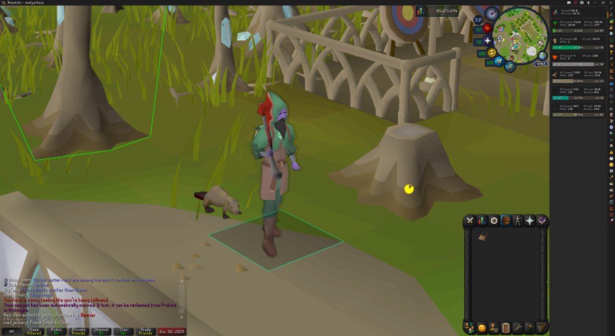 WE GOT THE BEAVER PET LFG #OSRS