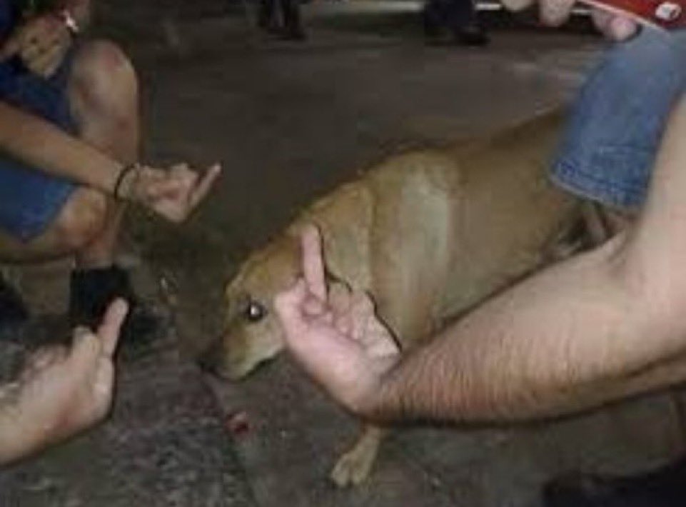 Lo que más tristeza me da de que no haya salido bien un intento de relación es pensar cuánto tiempo va a pasar hasta que otro varón me parezca interesante de nuevo