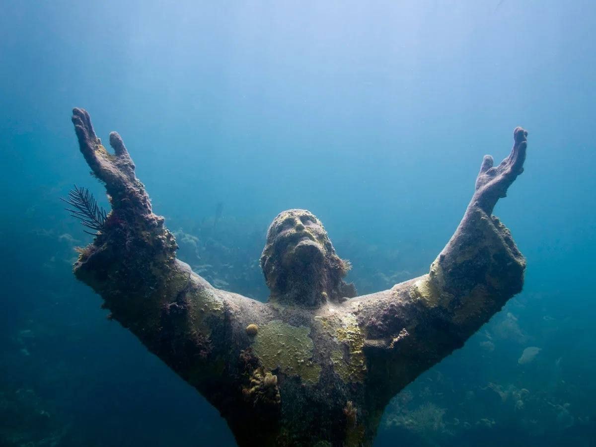 _axeIvasa2's tweet image. May Mankind Heal Now!