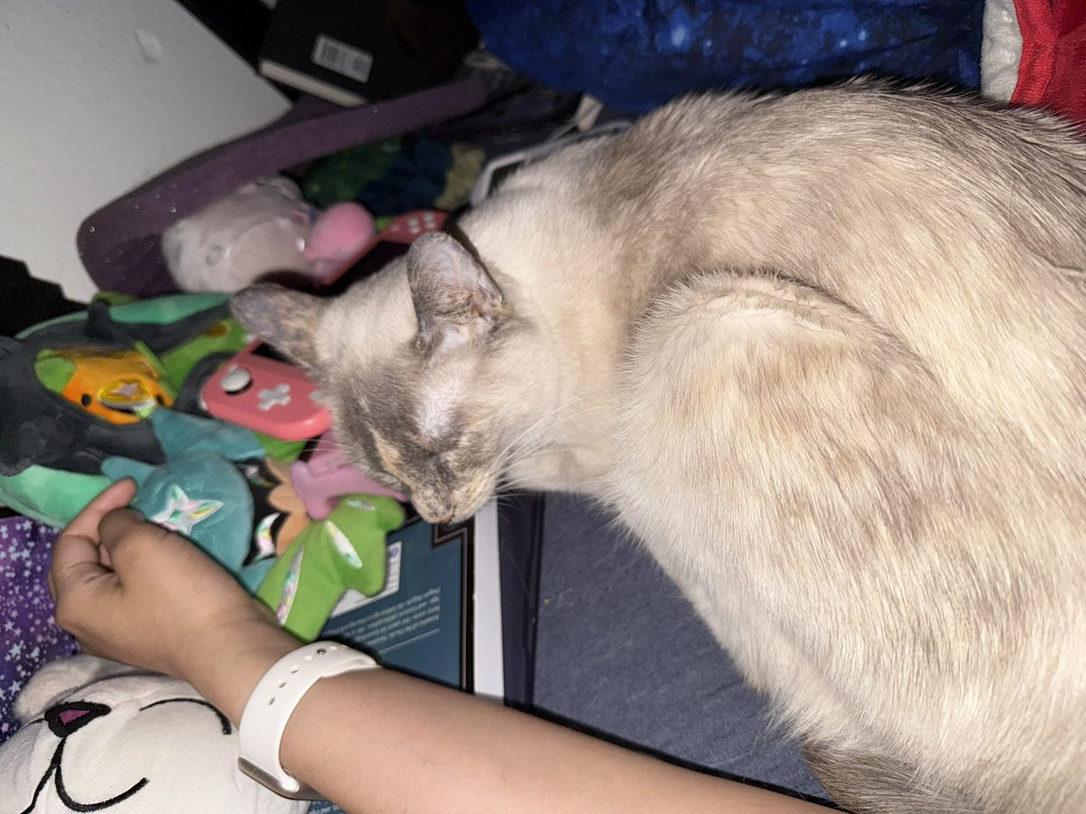 LonelySushiRoll's tweet image. Took an 8hour nap with Mimi curled up. I drank pure black coffee before I fell asleep.
Best naps I’ve had in awhile.