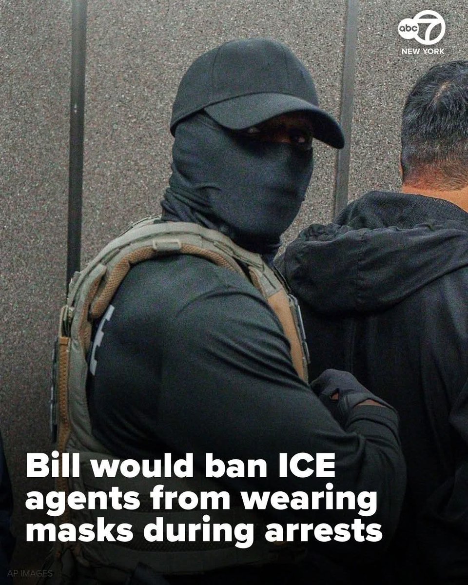 WHY would the Democrats do this?! 🤨
These guys have a right to protect themselves, their identity and their families safety! 🤨 Am I missing something? 
Do you think they should be forced to remove the masks? ❓❓❓❓❓❓