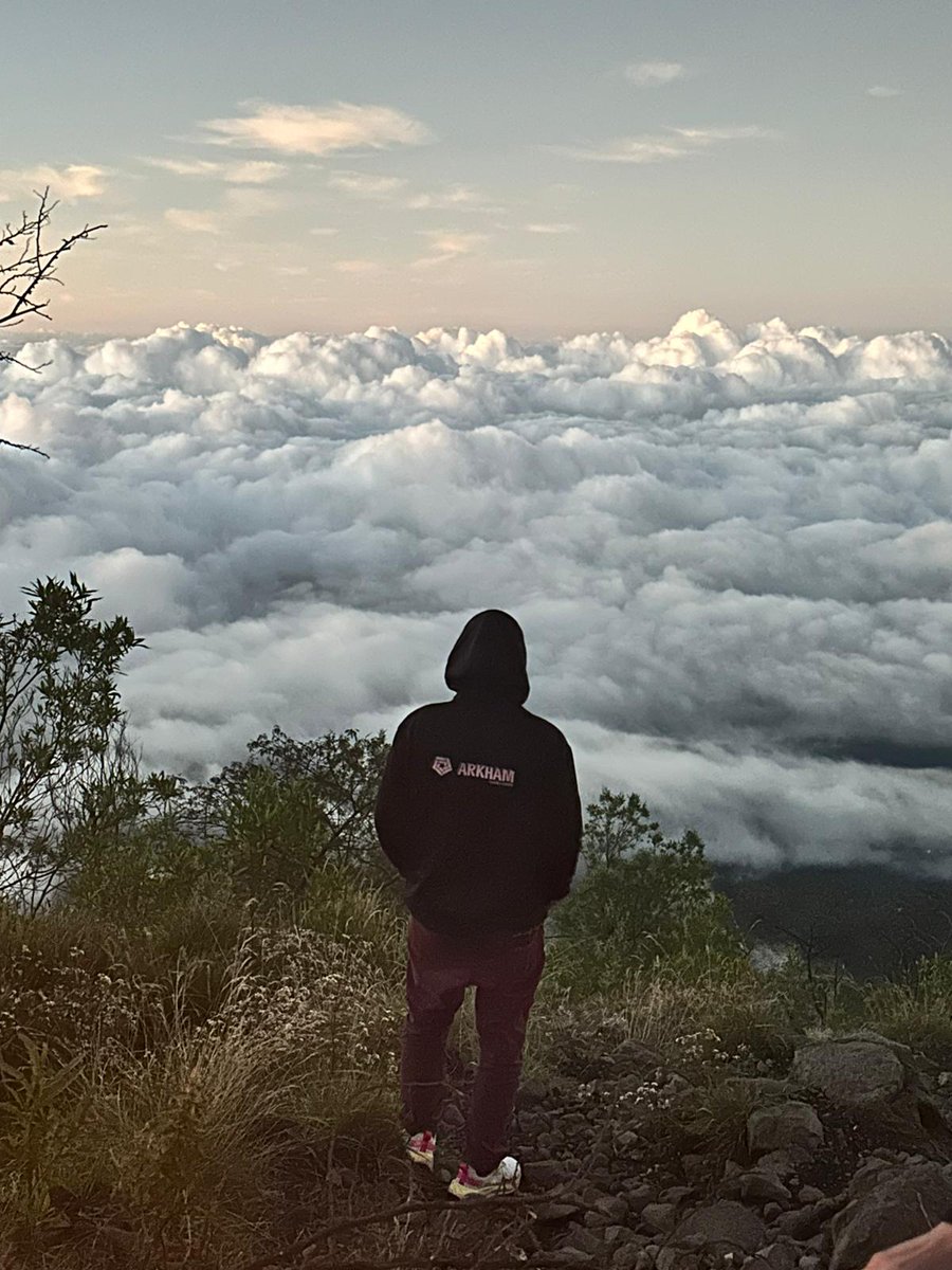 The sky is the limit
#ArkhamContest <a href="/arkham/">Arkham</a> <a href="/MiguelMorel/">Miguel Morel</a>