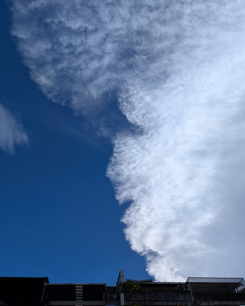 ShimuyoTang's tweet photo. Divided
#pixel8 #pixelphoto https://t.co/awr55c2W6a