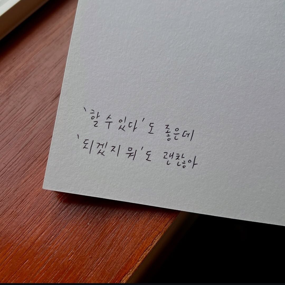 체다르🧀 tweet media