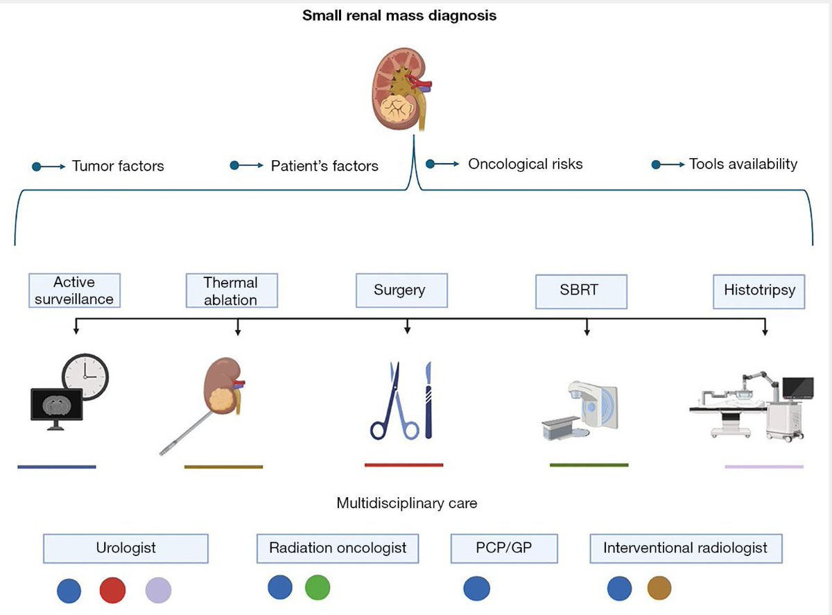 We're excited to share our latest piece, which explores the evolving perspectives on managing small renal masses—where evidence, risk, and patient-centered care intersect.
 Shifting Paradigms in the Treatment of Small Renal Masses
tau.amegroups.org/article/view/1…
#Urology #RenalTumors