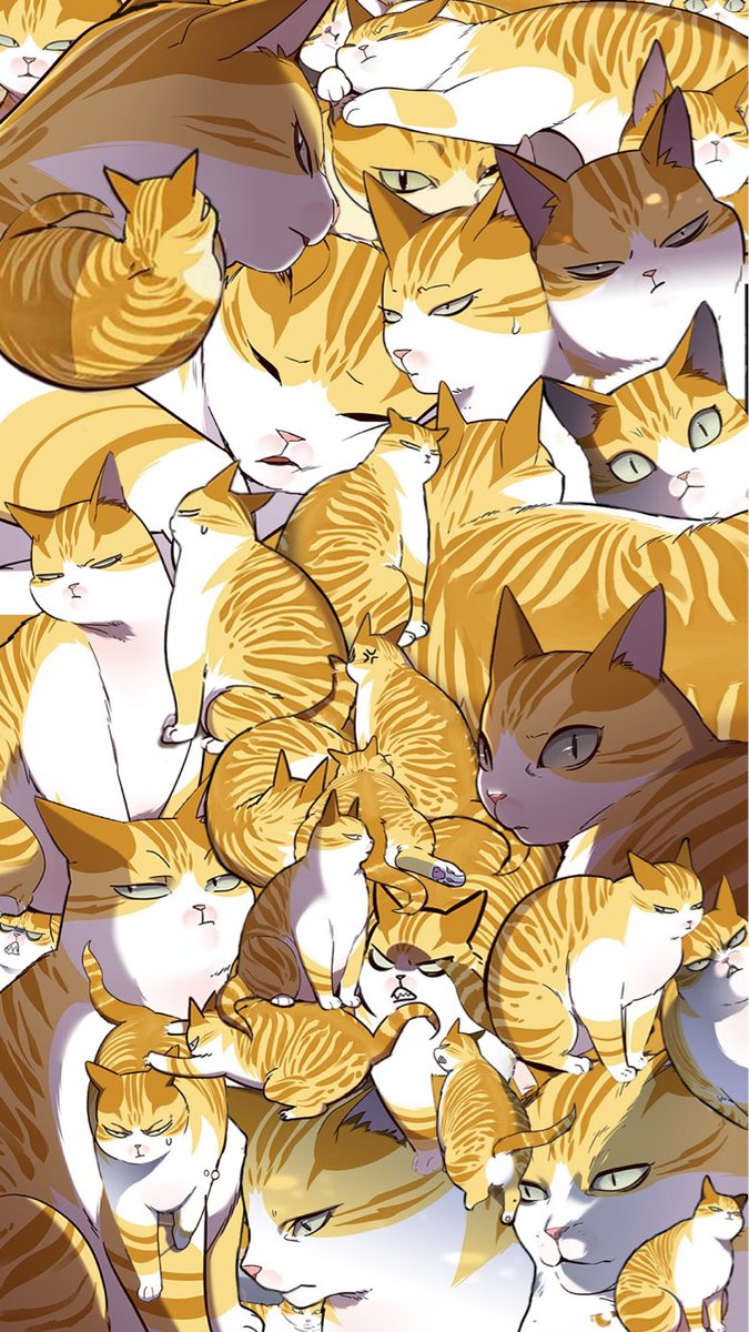 EleceedOfficial's tweet photo. blessing the feed with our bb 🐈⚡ #ELECEED https://t.co/DIzq2XfdkZ
