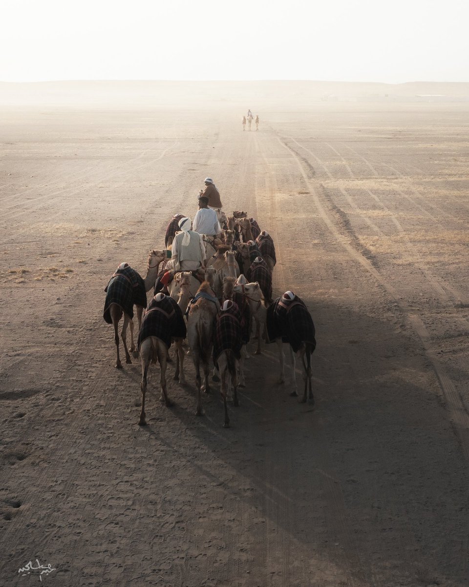 ربي نسألك صباحاً تشرق فيه قلوبنا فرحاً
وعملًا نرضيك   به
وقولاً نتقربُ به إليك.