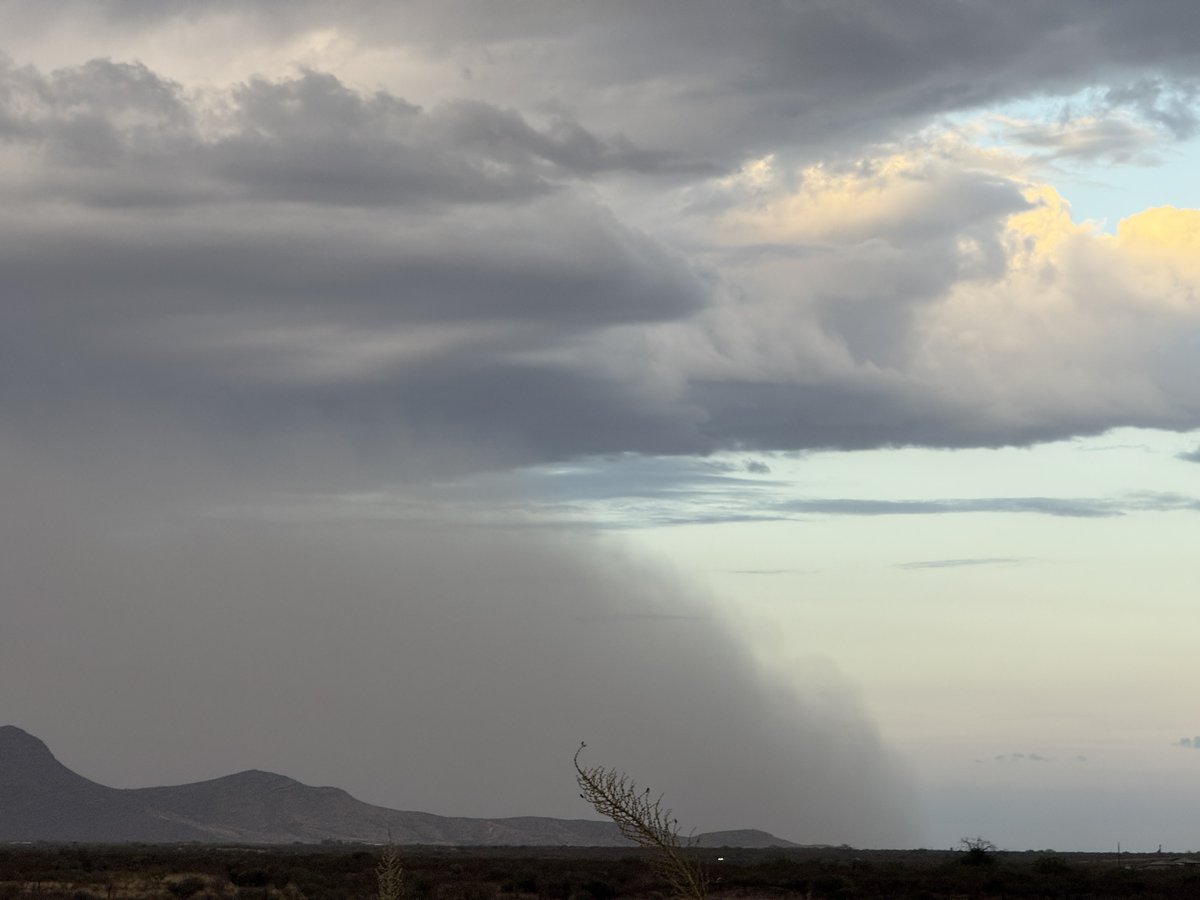 christianfotoaz's tweet image. Dust storm moving south towards Mexico seen from Hereford. Looks like it’s behind the mule mountains #azwx