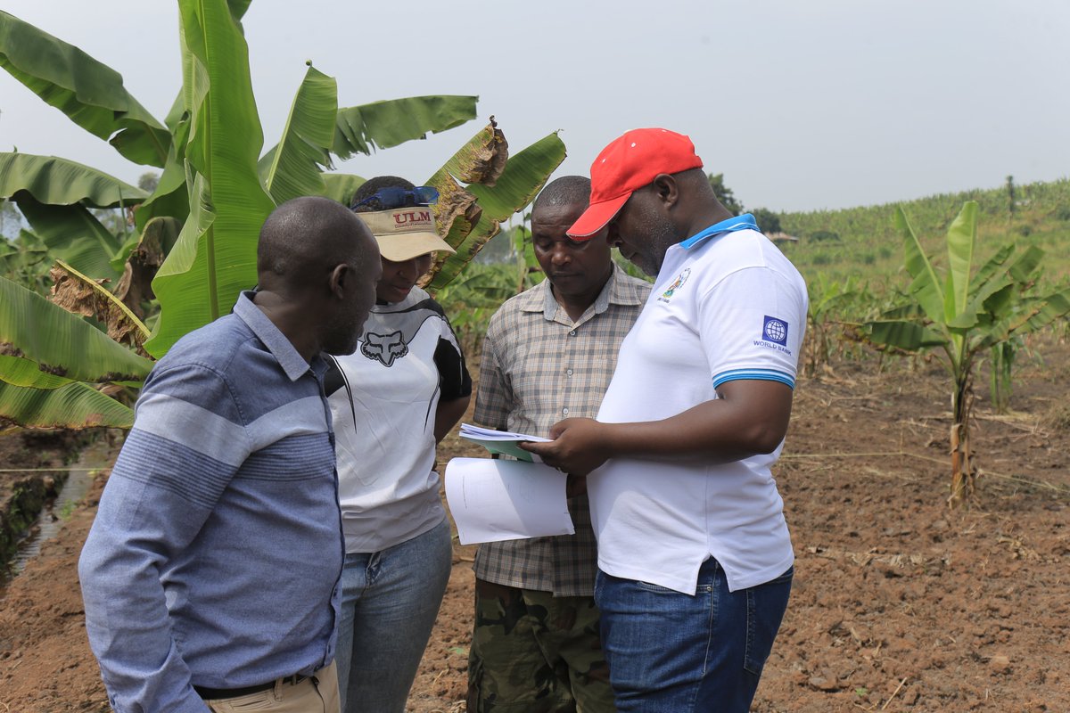 ICRP_Uganda's tweet image. Agric extension consultant @AESAEALtd on behalf of @ICRP_Uganda enging demo site 3 host Mr Gacharo Geofrey about design intepretation of irrigation  systems in kisyoro ward kabuyanda Town Council 
#DemoSites
#IrrigationSystem
#IcrpIsingiroUpdates