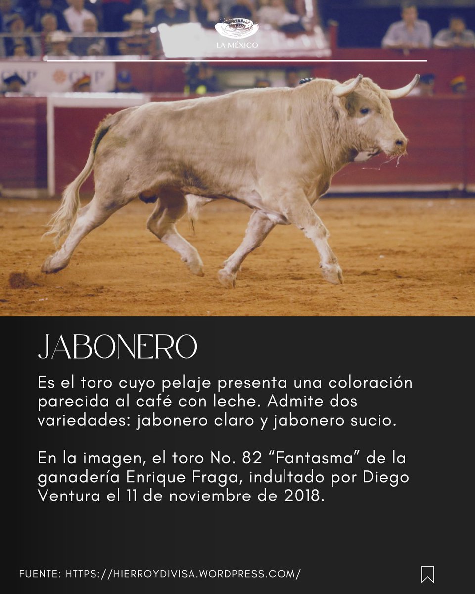 Tauro Medio
Pinta  Jabonero.

#libertad #ViveLibre