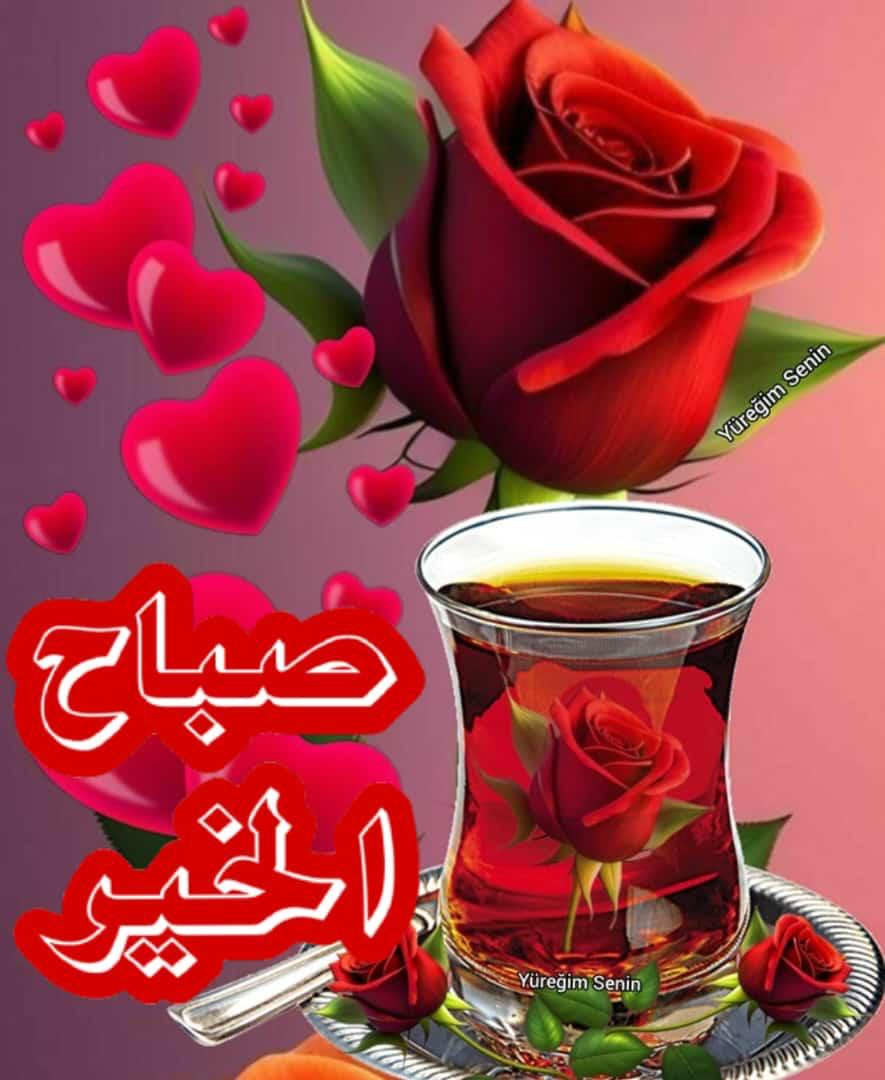 اللهّم صباحاً يتجلّى فيه لطفك ويتّسع فيه رزقك وتمتد فيه عافيتك ونستفتح فيه برحمتك ، أصبحنا وأصبح المُلك لله...🤲🏻
اسعد الله صباحكم بكل خير وعافية🌹🌹