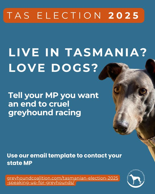 <a href="/SaulEslake/">Saul Eslake</a> has put paid to any economic ‘argument’ for Tas dog racing. Tasmanians do not want to be made complicit in the cruel treatment of these innocent animals. Make your vote count - let candidates know taxpayer funding must cease.  <a href="/save_greyhounds/">Coalition for the Protection of Greyhounds</a> #politas