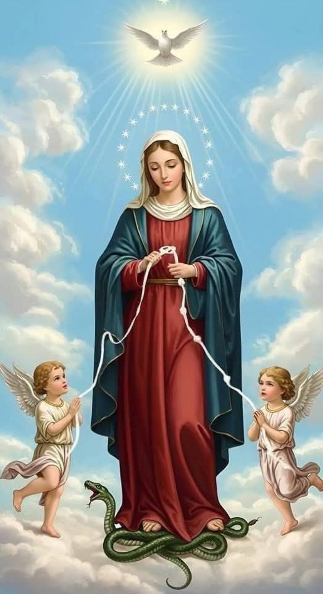 Maria che Scioglie i  Nodi, 
Prega Per Noi 🕊