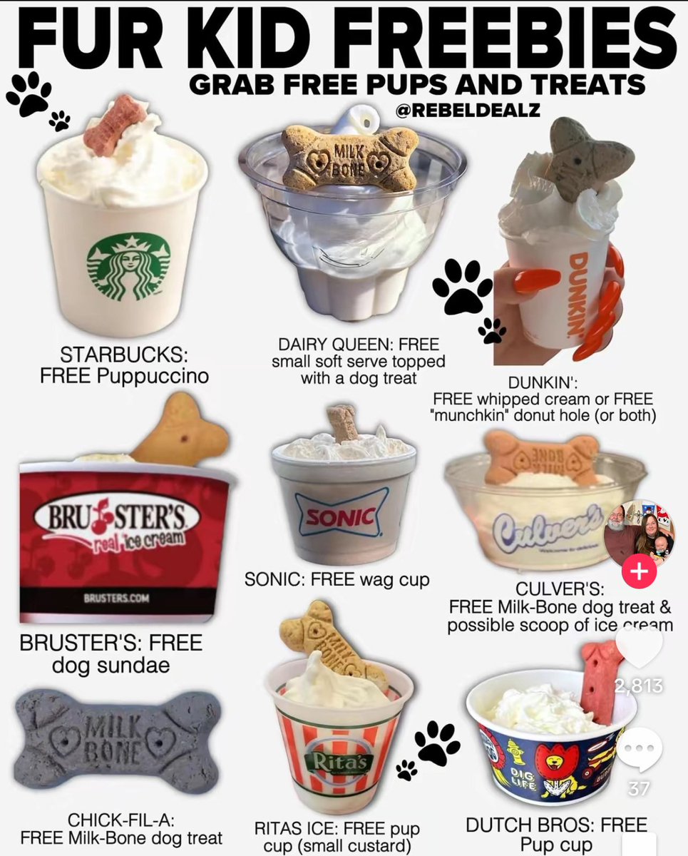 Dogs aren’t even safe from the marketing 😂
