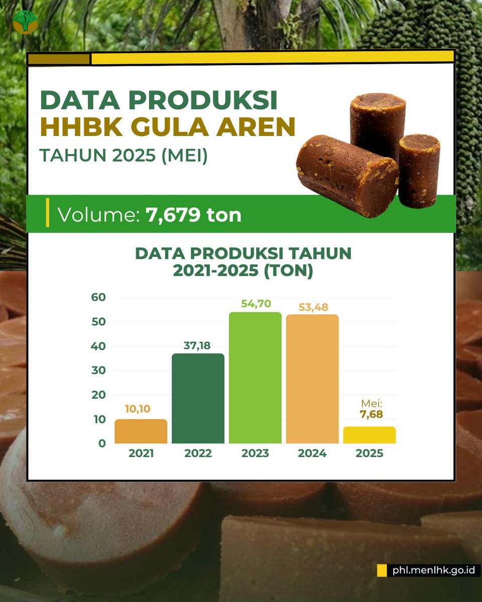 DitjenPHL's tweet photo. #SobatRimba, Yuk kita simak informasinya sob! #SobatRimba, ini dia Data Produksi HHBK Gula Aren tahun 2025 per Mei!

📈 Cek selengkapnya di Satu Data PHL!

#HutanLestari #HHBK #GulaAren #Kemenhut #DitjenPHL #SatuDataPHL #SobatRimba https://t.co/my6bTLEpZ3